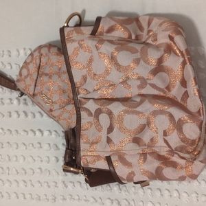 Coach bag and matching wristlet/wallet